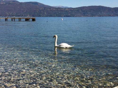 Bed & Breakfast Giardini Di Corte