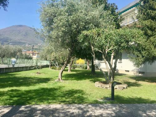 Apartamento Mille Ulivi