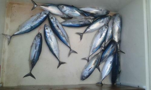 Villetta By Sicily