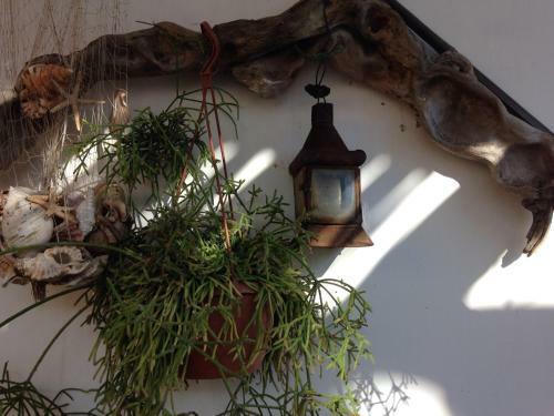 Bed & Breakfast La Lampara