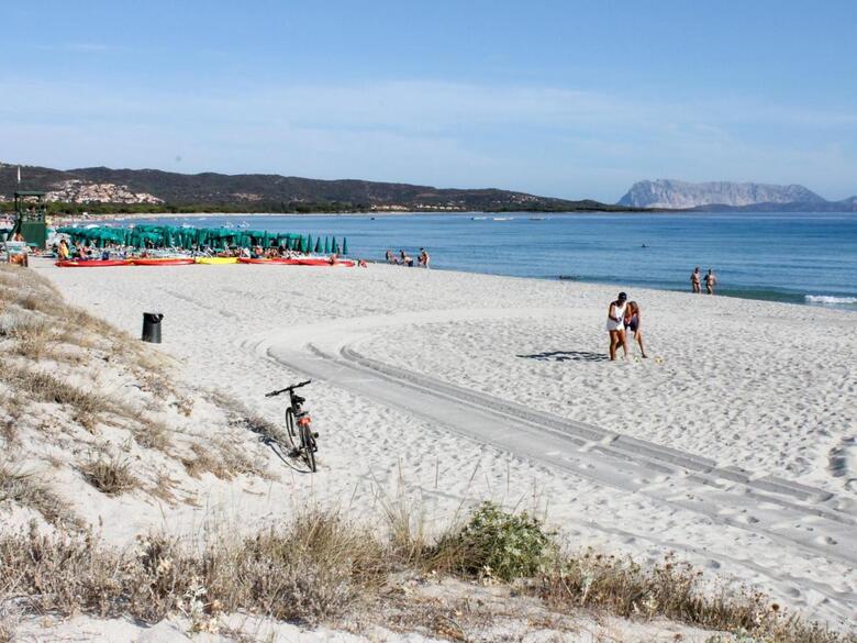 Apartamento Locazione Turistica Viola