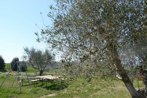 Agroturismo Agriturismo Il Merollo