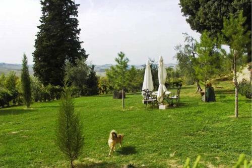 San Gimignanello Apartment Sleeps 9 Pool Wifi