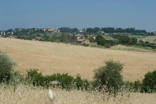 Agroturismo B&B Il Pettirosso Di Siena