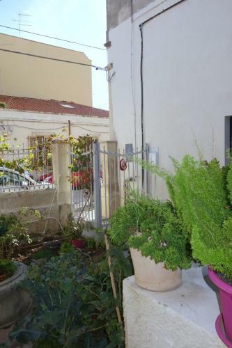 Apartamento Graziella E Lucia