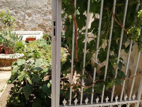 Apartamento Graziella E Lucia