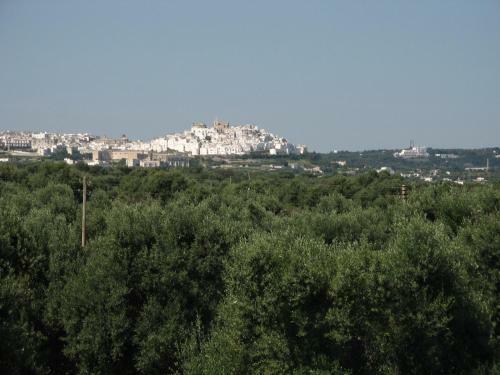 Masseria Asciano