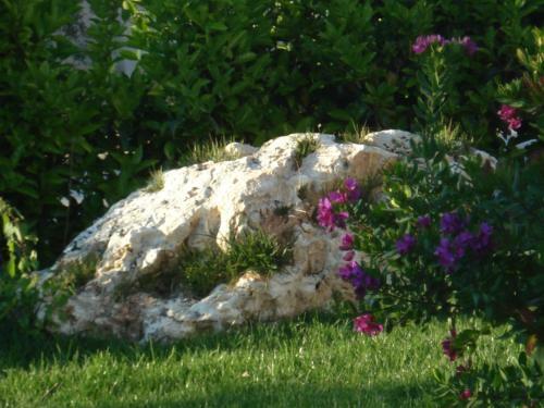 Masseria Asciano