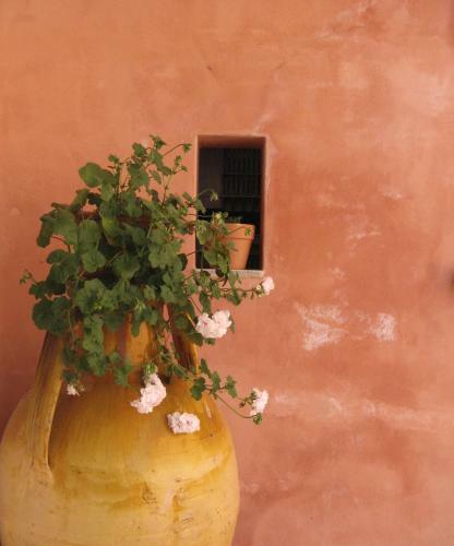 Masseria Asciano
