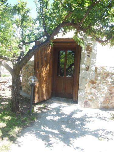 Villa B&B Pettirosso Garden