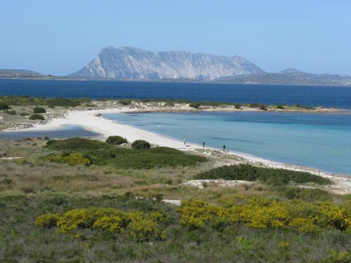 Apartamento Appartamento Degli Ulivi