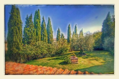 San Giovanni D'asso Villa Sleeps 7 Pool Air Con