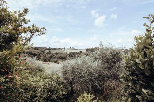 Apartamento Agriturismo Il Pintello