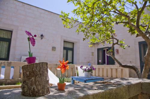 Agroturismo Agriturismo Antares