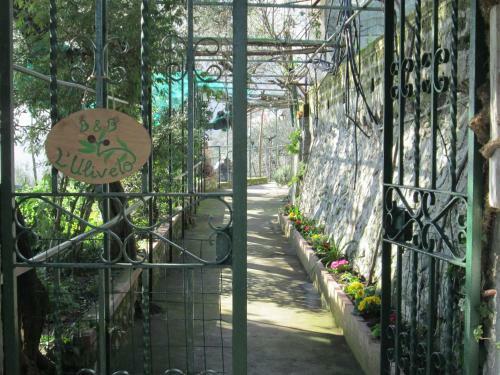 Bed & Breakfast L'uliveto