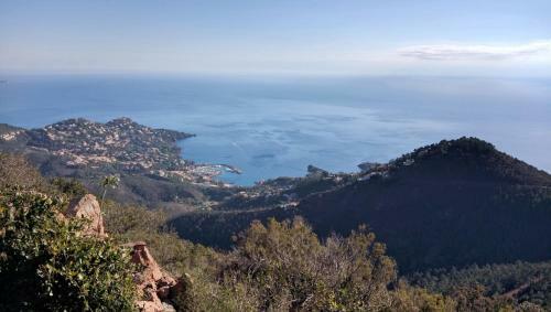 Apartamento Cap Est�rel Vacances - Studio Mer G2 Terrasse Couverte - 256la