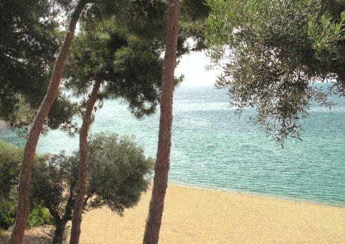 Hotel Trikorfo Beach