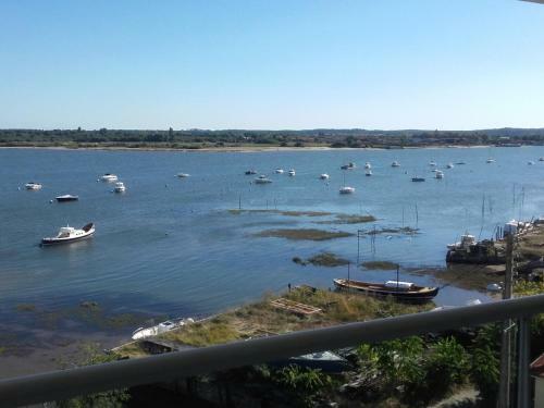 Apartment Vue Mer - 4 Personnes - Aiguillon