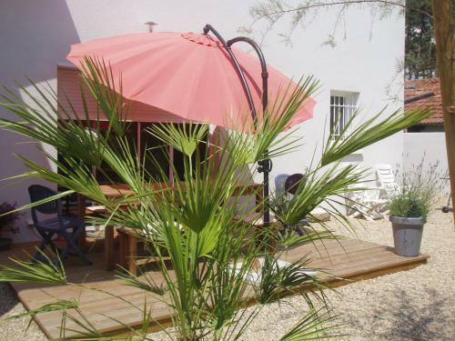 Villa 36 Avenue Rosni Jeune -012