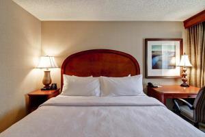 Hotel Homewood Suites Dallas-addison