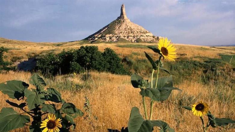 Hotel Hampton Inn & Suites Scottsbluff-conference Center Ne