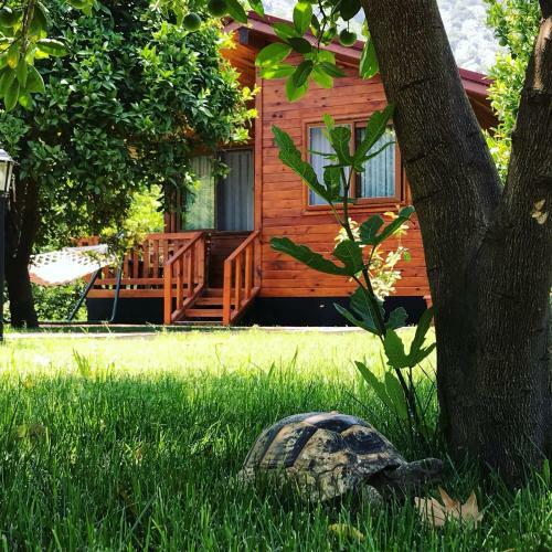 Bed & Breakfast Asya Bungalow