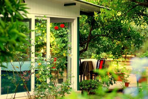 Hostal Cemils Guest House