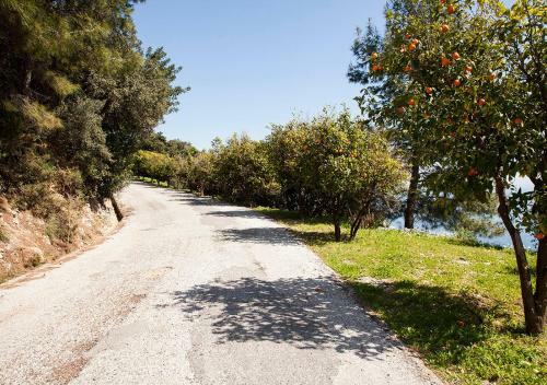 Bed & Breakfast Lavanta Butik Otel Turunc