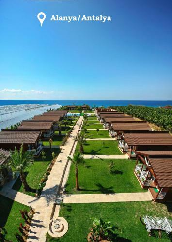 Bed & Breakfast Sedir Park - Beach Bungalow