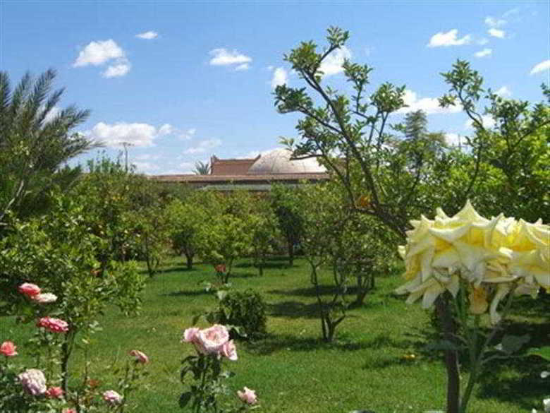 Hotel Dar Zitoune