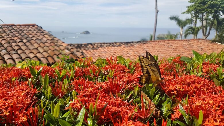 Hotel La Mariposa (solo Atlas)