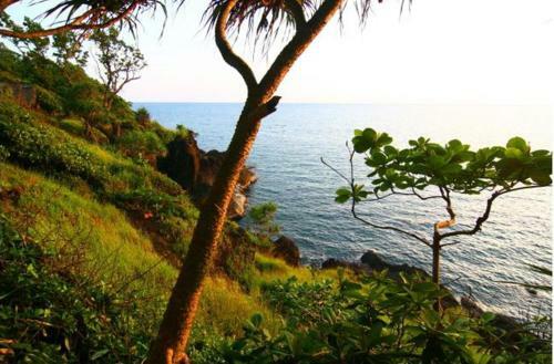 Hotel Cliff View Resort