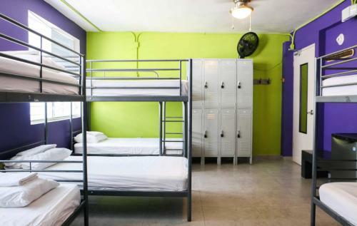 Conturce Hostel