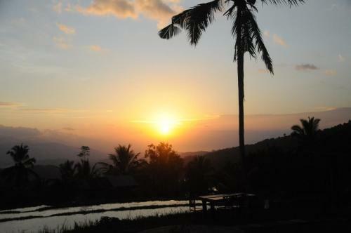 Lodge Puri Sunny Camp