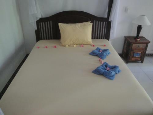 Hostal Wp Bungalow