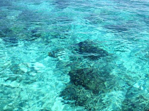 Bed & Breakfast Omala Village Gili Air