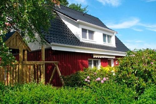 Apartamento Bienenhaus, Fw2 - [#21754]