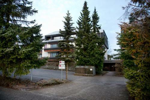 Apartment Alpina