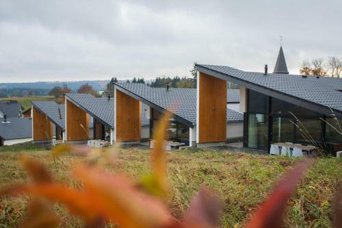 Villa-7-winterberg