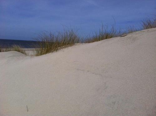 Apartamento Ferienwohnung 10 Auf Sylt _ Wester