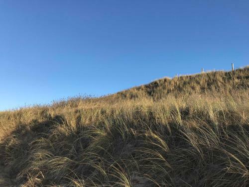 Apartamento Ferienwohnung 10 Auf Sylt _ Wester