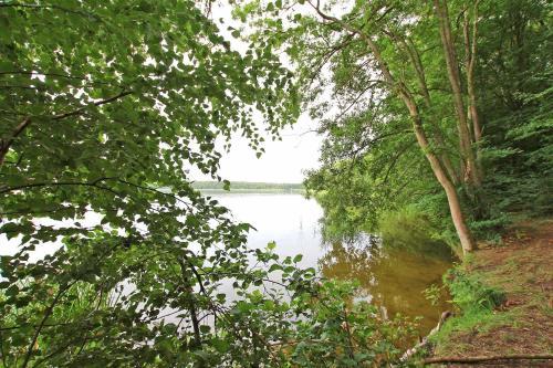 Apartamento Ferienwohnung Im Forsthaus Am See