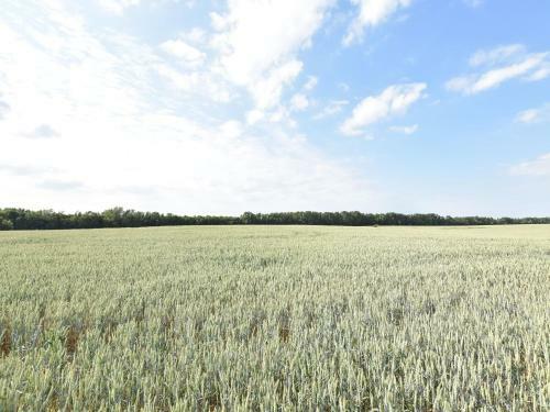 Apartamento Zum Breitling 6