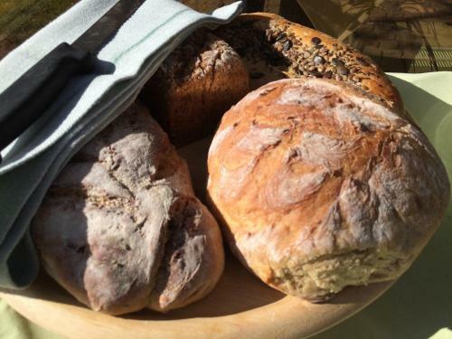 Hostal Hotel-pension Seeadler