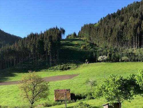Apartamento Waldbauernhof