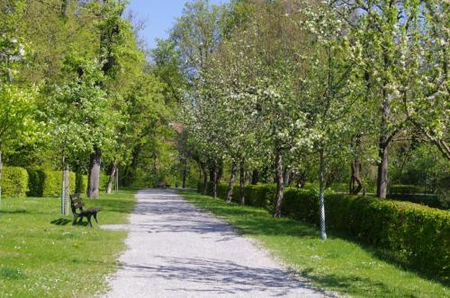Apartamento Ferienwohnung Am Henkelsee