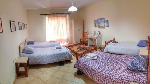 Hostal Suart's House