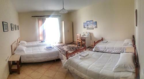 Hostal Suart's House