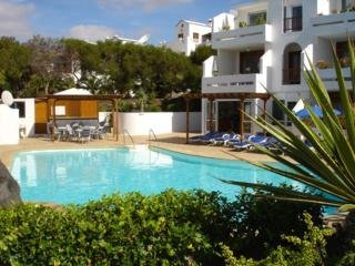 Apartamentos Camel Spring