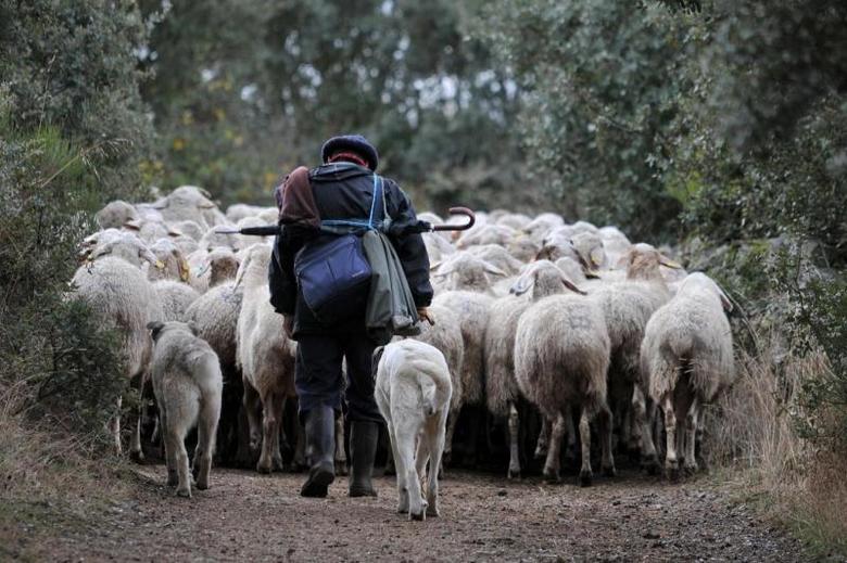Posada Real La Mula De Los Arribes